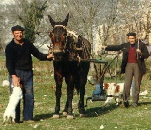 Horten y Javier