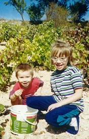 Gorka y Saioa en vendimias.