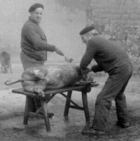 Lavando el cerdo